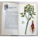 KILJAŃSKA Izabella, MOJKOWSKA Hanna - Polnisches Herbarium. Warschau 1988, Verlag Interpress. 8, s. 382, [1]...