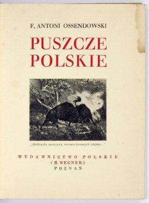 OSSENDOWSKI F. A. – Puszcze polskie. [Cuda Polski]