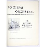 Auf das Vaterland! Buch 3: Die Kathedrale von Vilnius in Geschichte, Kunst und Legenden