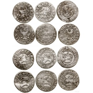 Polska, zestaw: 6 x półgrosz koronny, bez daty (1502-1506), Kraków