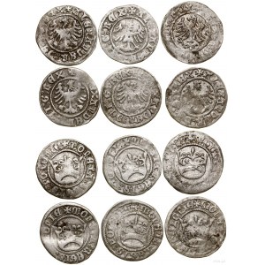 Poland, set: 6 x crown half-penny, no date (1502-1506), Kraków