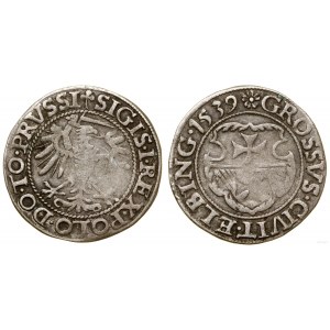 Polen, Pfennig, 1539, Elbląg