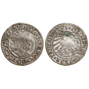 Poland, penny, 1535, Torun