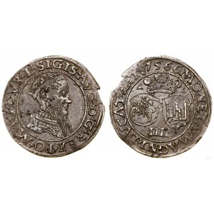 Polska, czworak, 1566, Wilno