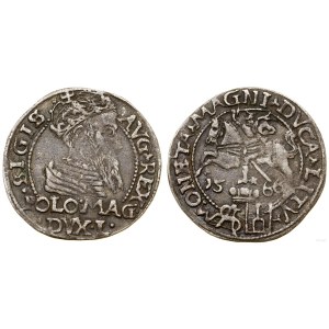 Polen, Pfennig pro polnischen Fuß, 1566, Tykocin