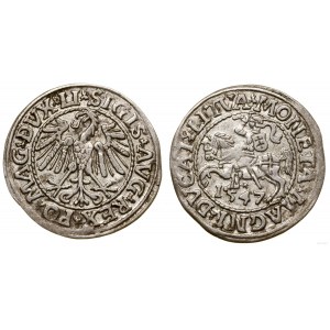Polen, halber Pfennig, 1547, Vilnius