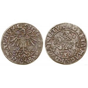 Polen, halber Pfennig, 1550, Vilnius