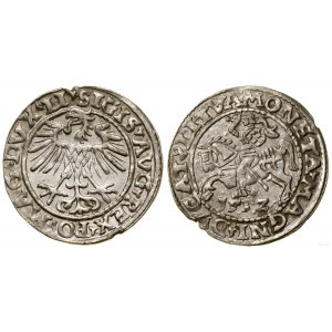 Polen, litauischer Halbpfennig, 1552, Vilnius
