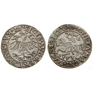Polen, litauischer Halbpfennig, 1553, Vilnius