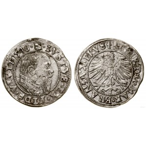 Ducal Prussia (1525-1657), penny, 1548, Königsberg