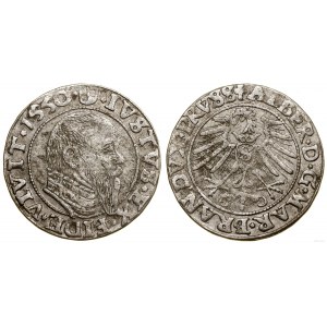 Ducal Prussia (1525-1657), penny, 1550, Königsberg
