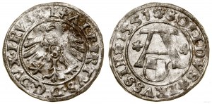 Prusy Książęce (1525-1657), szeląg, 1551, Królewiec