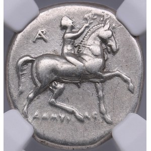 Calabria, Taras AR Didrachm or Nomos - c. 281-240 BC - NGC Ch VF