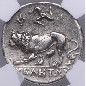 Lucania, Velia AR Didrachm or Nomos c. 300-280 BC - NGC Ch VF