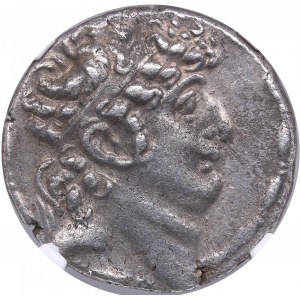 Seleukid Kingdom AR Tetradrachm - Philip I Philadelphos (95-75BC) - NGC Ch XF