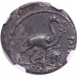 Roman Republic AR Denarius - A. Plautius (c. 55 BC) - NGC AU