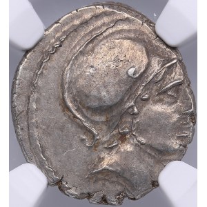 Roman Imperatorial AR Denarius - Albinus Bruti f. (c. 48 BC) - NGC AU