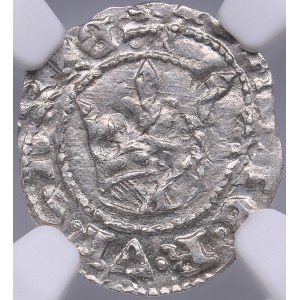 Hungary AR Denar - Maria (1382-1395) - NGC MS 62