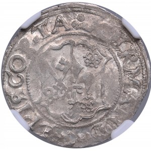 Dorpat Ferding ND - Hermann II Wesel (1552-1558) - NGC MS 63