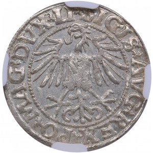 Polish-Lithuanian Commonwealth 1/2 Grosz 1549 - Sigismund II Augustus (1545-1572) - NGC MS 66