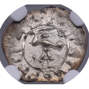 Russia, Tver AR Denga - Michael Borisovich (1461-1485) - NGC MS 62