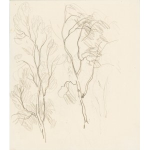 Bronislaw Jamontt (1886 Dokudowo -1957 Torun), A pair of sketches: Trees and Church.