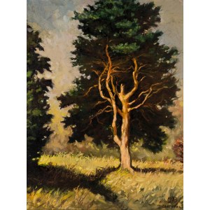 Joseph Charyton (1912-1975), Pine Tree, 1973.
