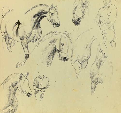 Ludwik MACIĄG (1920-2007), Szkice konia i jeźdźca w różnych ujęciach