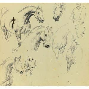 Ludwik MACIĄG (1920-2007), Szkice konia i jeźdźca w różnych ujęciach