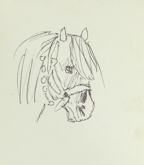 Ludwik MACIĄG (1920-2007), Głowa konia