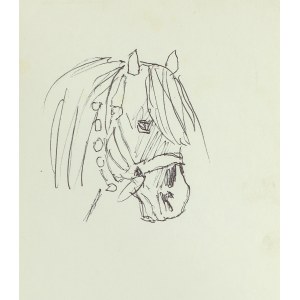 Ludwik MACIĄG (1920-2007), Head of a Horse