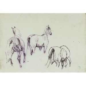 Ludwik MACIĄG (1920-2007), Szkice konia w trzech ujęciach