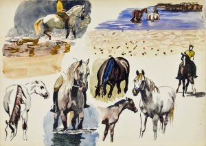 Ludwik MACIĄG (1920-2007), Szkice koni oraz jeźdźców na koniu