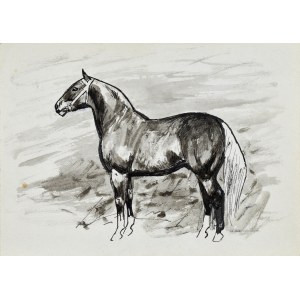 Ludwik MACIĄG (1920-2007), Horse captured from the left side