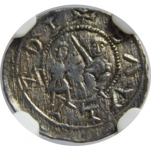 Władysław Wygnaniec, denar, NGC AU58 