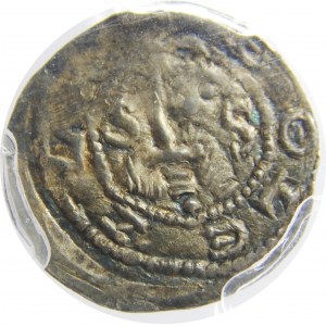 Bolesław IV Kędzierzawy, denar, PCGS MS62