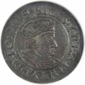 Zygmunt I Stary, Grosz 1535, Gdańsk, NGC MS62