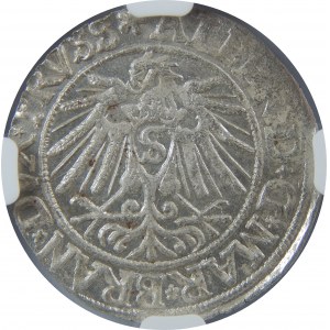 Albert Hohenzollern, Grosz 1538, Królewiec, NGC MS63