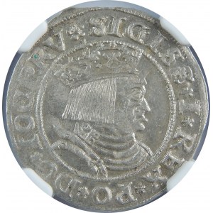 Zygmunt I Stary, Grosz 1531, Toruń, NGC MS62