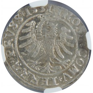 Zygmunt I Stary, Grosz 1531, Toruń, NGC MS62