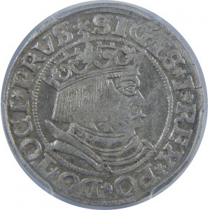 Zygmunt I Stary, Grosz 1532, Toruń, PCGS AU58
