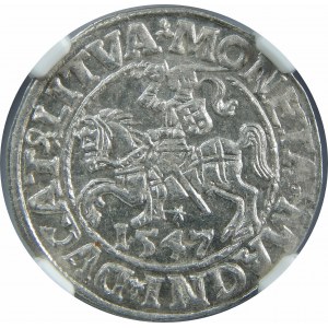 Zygmunt II August, Półgrosz 1547, Wilno, NGC MS64 