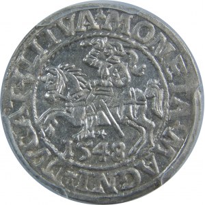 Zygmunt II August, Półgrosz 1548, Wilno, PCGS MS62