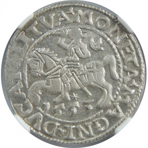 Zygmunt II August, Półgrosz 1553, Wilno, NGC MS62