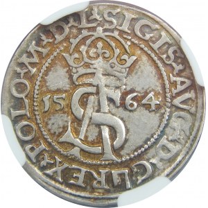 Zygmunt II August, Trojak 1564, Wilno, NGC AU58