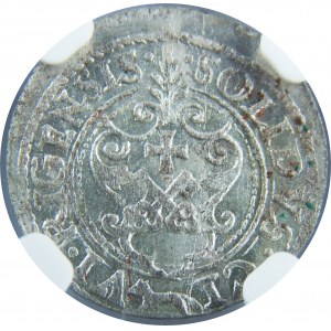 Zygmunt III Waza, Szeląg 1621, Ryga, NGC MS63