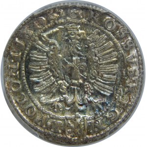 Zygmunt III Waza, Grosz 1604/3, Kraków, PCGS MS64