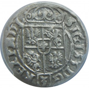 Zygmunt III Waza, Półtorak 1623, Bydgoszcz, PCGS MS62