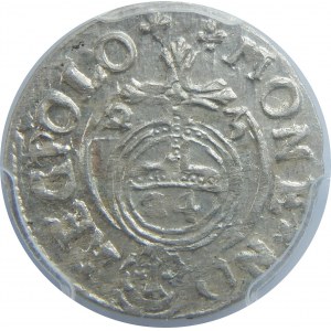 Zygmunt III Waza, Półtorak 1623, Bydgoszcz, PCGS MS63