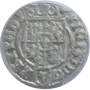 Zygmunt III Waza, Półtorak 1623, Bydgoszcz, PCGS MS63